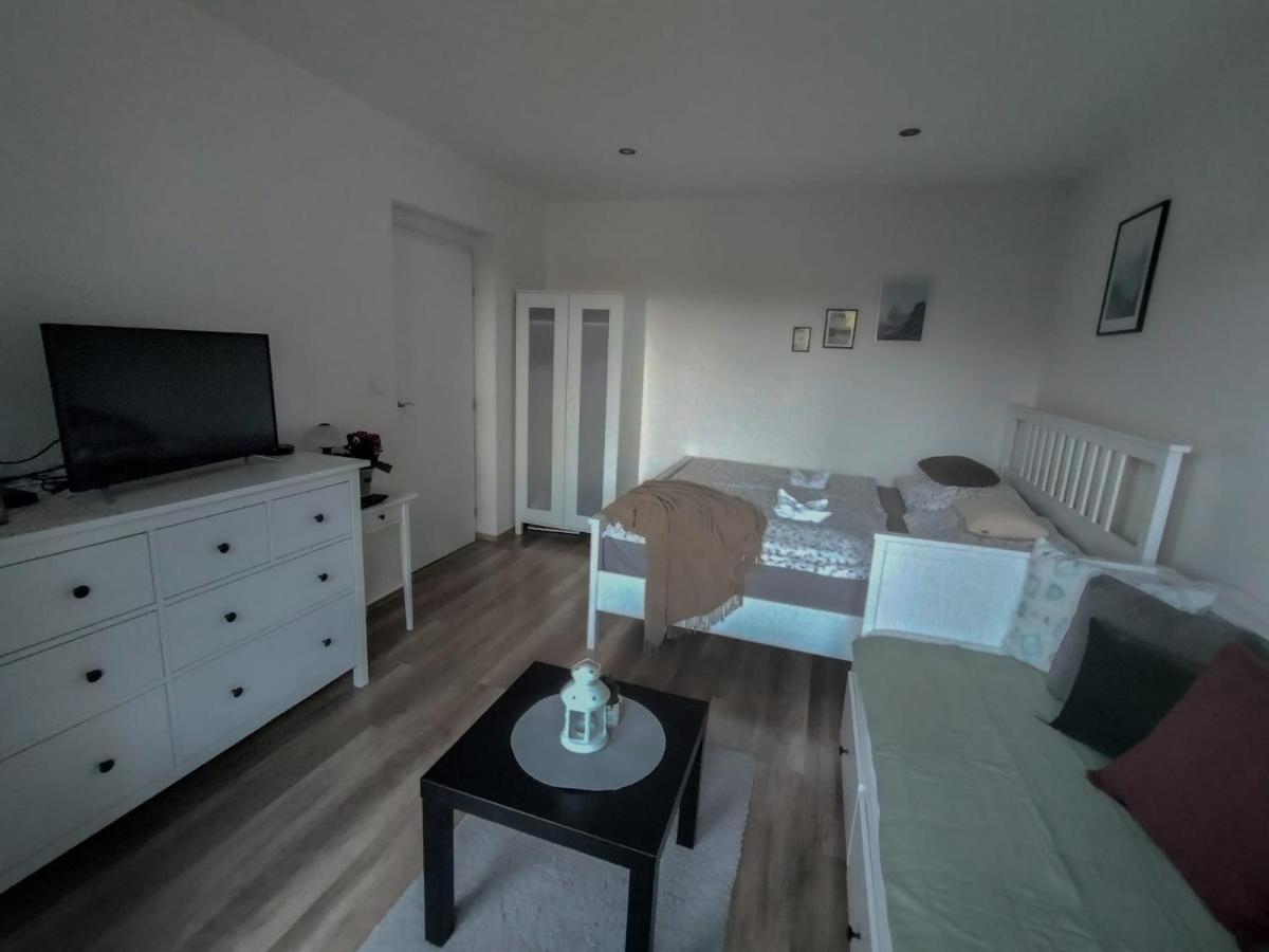 Apartmanek Protez Janské Lázně Eksteriør bilde