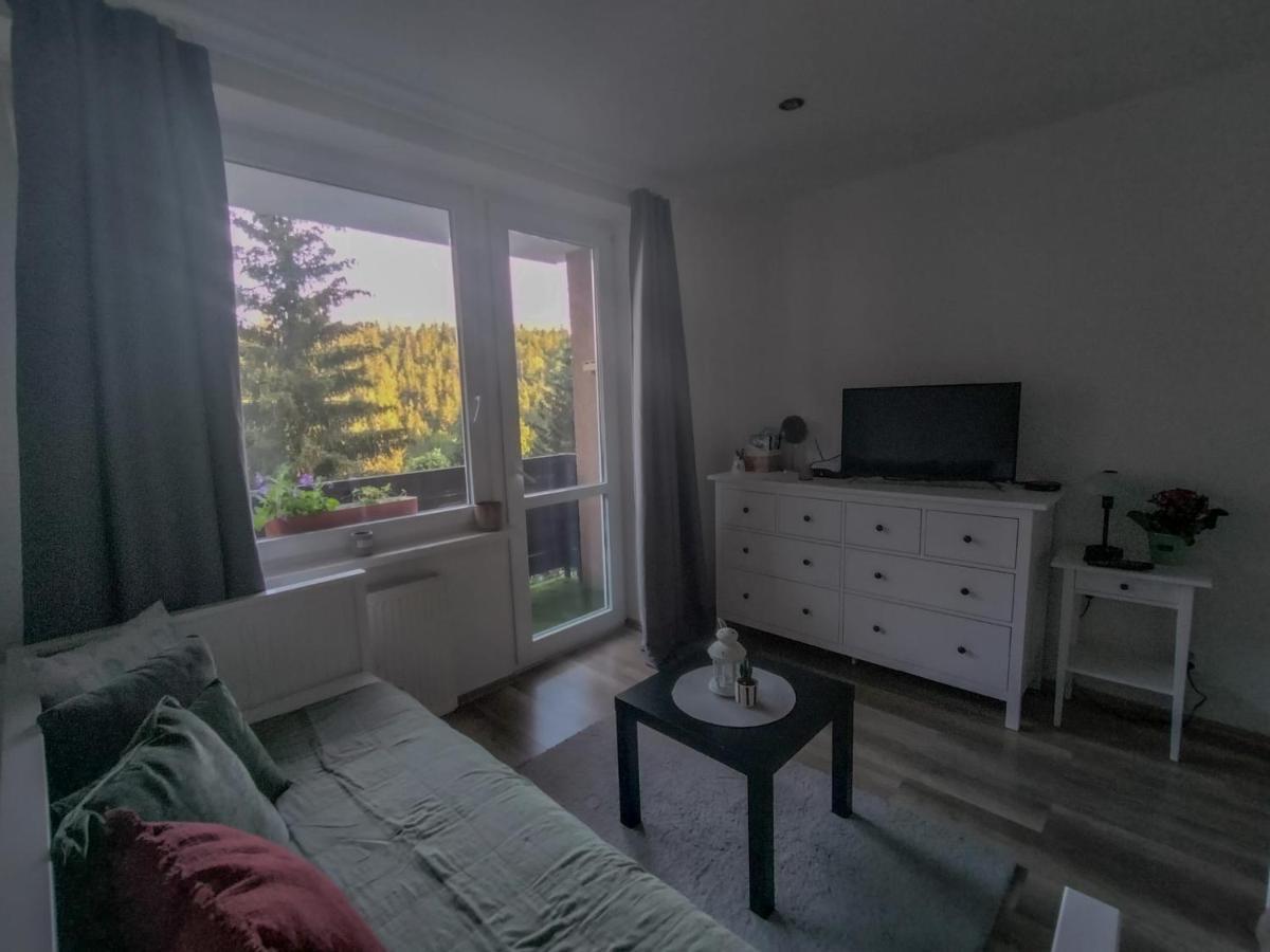 Apartmanek Protez Janské Lázně Eksteriør bilde