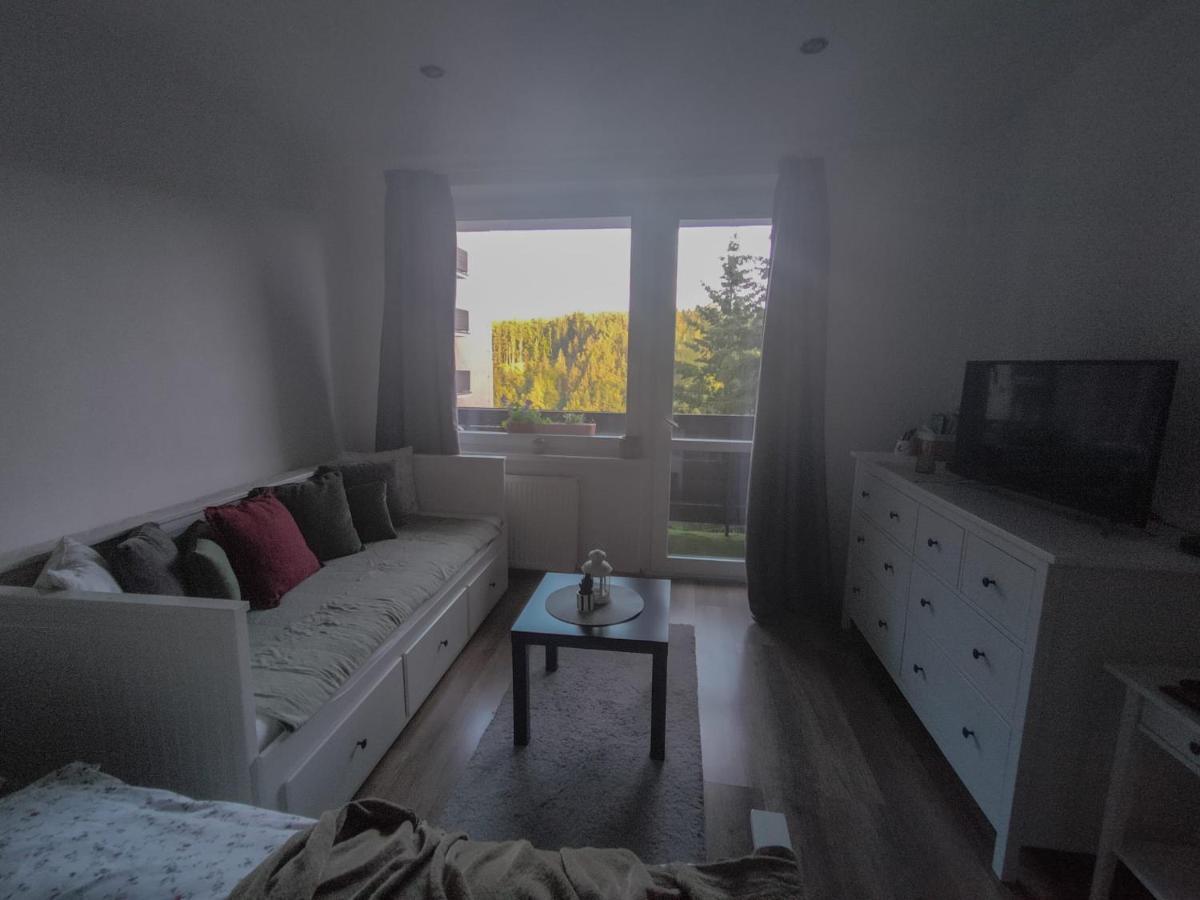 Apartmanek Protez Janské Lázně Eksteriør bilde